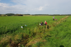 20210929_Arbeitsgruppen