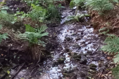 IMG-20220916-WA0001