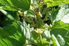 IMG-20220916-WA0026
