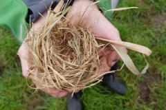 20200930_Nest