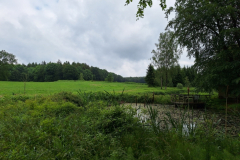 20240531_Teich