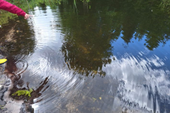 20250523_klares-Wasser