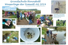 Poster der Umwelt-AG 2014