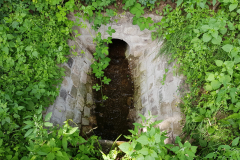 20210713_Einlauf