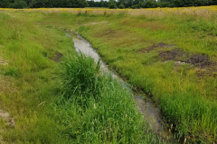 20210713_gerader-Lauf