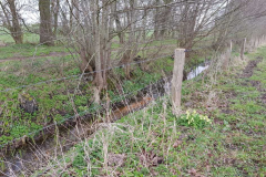 20210419_Zulauf01