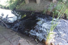 Rantzau_Moltke_Br_2020_01_vorher