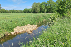 20240517_10695-Steinsporn